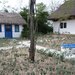 Delta Dunarii, Sulina, Letea, jud. Tulcea,